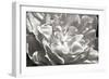 Fancy Flower I-Alan Hausenflock-Framed Photographic Print