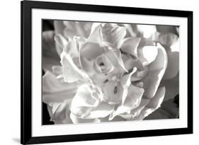 Fancy Flower II-Alan Hausenflock-Framed Photographic Print