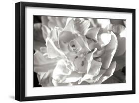 Fancy Flower II-Alan Hausenflock-Framed Photographic Print