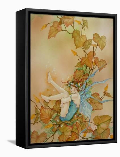 Fancy Free-Linda Ravenscroft-Framed Stretched Canvas