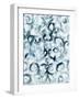 Fancy Fretwork 2-Li Bo-Framed Giclee Print