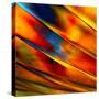 Fancy Glass 3-Ursula Abresch-Stretched Canvas