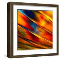 Fancy Glass 3-Ursula Abresch-Framed Premium Photographic Print