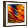 Fancy Glass 3-Ursula Abresch-Framed Premium Photographic Print