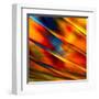 Fancy Glass 3-Ursula Abresch-Framed Premium Photographic Print