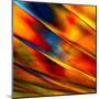 Fancy Glass 3-Ursula Abresch-Mounted Premium Photographic Print