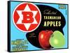 Fancy Grade Selected Tasmanian Apples-null-Framed Stretched Canvas