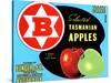 Fancy Grade Selected Tasmanian Apples-null-Stretched Canvas
