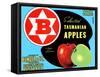 Fancy Grade Selected Tasmanian Apples-null-Framed Stretched Canvas