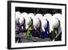 Fancy Hats I-Alan Hausenflock-Framed Photographic Print