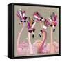 Fancy Pants Bird IV-Hammond Gower-Framed Stretched Canvas