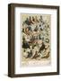 Fancy Pigeon Breeds-A.f. Lydon-Framed Photographic Print