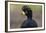 Fancy Plume-Staffan Widstrand-Framed Giclee Print