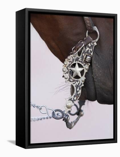 Fancy Silver Bit on Horse Bridle of Cowboy, Flitner Ranch, Shell, Wyoming, USA-Carol Walker-Framed Stretched Canvas