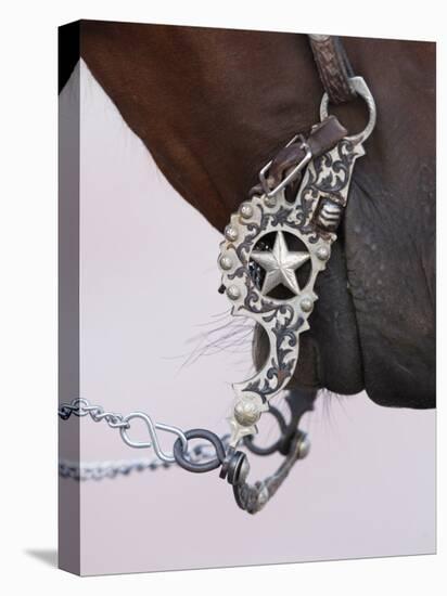 Fancy Silver Bit on Horse Bridle of Cowboy, Flitner Ranch, Shell, Wyoming, USA-Carol Walker-Stretched Canvas