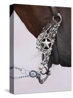 Fancy Silver Bit on Horse Bridle of Cowboy, Flitner Ranch, Shell, Wyoming, USA-Carol Walker-Stretched Canvas