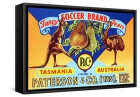 Fancy Soccer Brand Pears-null-Framed Stretched Canvas