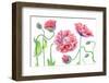 Fancy-Mandy Disher-Framed Photographic Print