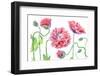 Fancy-Mandy Disher-Framed Photographic Print