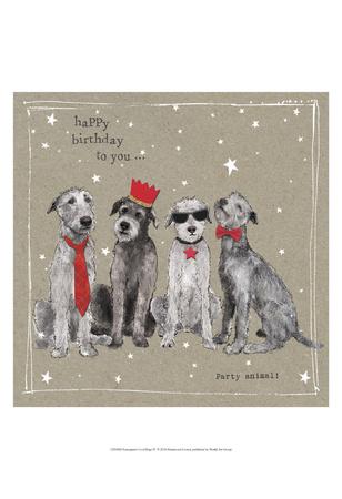 fancy pants for dogs