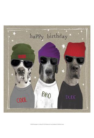 fancy pants for dogs