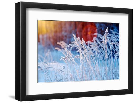 Premium Photographic Print, , large
