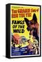 Fangs of the Wild, Rin Tin Tin Jr., Dennis Moore, 1939-null-Framed Stretched Canvas