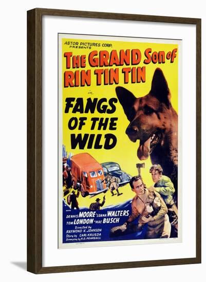 Fangs of the Wild, Rin Tin Tin Jr., Dennis Moore, 1939-null-Framed Art Print