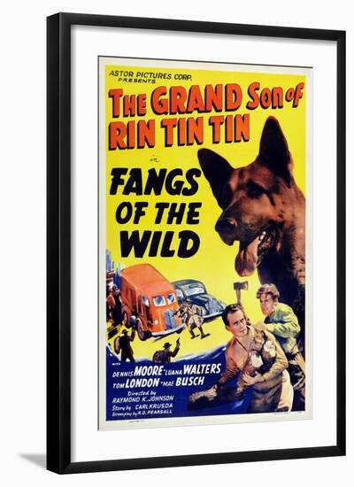 Fangs of the Wild, Rin Tin Tin Jr., Dennis Moore, 1939-null-Framed Art Print
