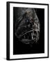 Fangtooth, Bathypelagic Fish (Anoplogaster Cornuta), Deep Sea Atlantic Ocean-David Shale-Framed Photographic Print