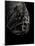 Fangtooth, Bathypelagic Fish (Anoplogaster Cornuta), Deep Sea Atlantic Ocean-David Shale-Mounted Photographic Print