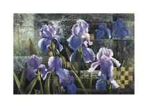Grand Irises-Fangyu Meng-Laminated Giclee Print