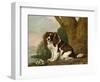 Fanny, a Brown and White Spaniel, 1778-George Stubbs-Framed Giclee Print