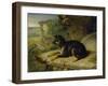 Fanny, a Favourite Dog, 1822-James Ward-Framed Giclee Print