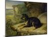 Fanny, a Favourite Dog, 1822-James Ward-Mounted Giclee Print