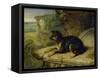 Fanny, a Favourite Dog, 1822-James Ward-Framed Stretched Canvas