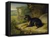 Fanny, a Favourite Dog, 1822-James Ward-Framed Stretched Canvas