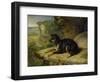 Fanny, a Favourite Dog, 1822-James Ward-Framed Giclee Print