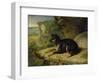 Fanny, a Favourite Dog, 1822-James Ward-Framed Giclee Print
