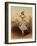 Fanny Cerrito (1817-1909) Italian dancer in La Lituana / The Lithuanian, 1840-Jules I Bouvier-Framed Giclee Print