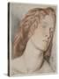 Fanny Cornforth, Study for 'Fair Rosamund', 1861-Dante Gabriel Rossetti-Stretched Canvas