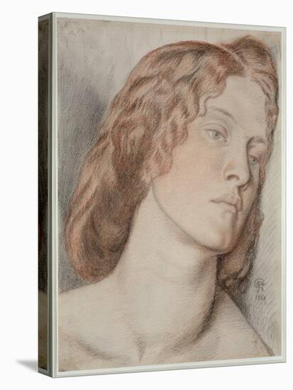 Fanny Cornforth, Study for 'Fair Rosamund', 1861-Dante Gabriel Rossetti-Stretched Canvas