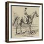 Fanny Grey, Winner of the Manchester Grand Steeple-Chase-null-Framed Giclee Print
