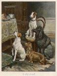 Four Dogs Lust after Their Owners' Food-Fanny Moody-Stretched Canvas