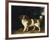 Fanny, the Favourite Spaniel of Mrs. Musters, Standing in a Wooded Landscape, 1777-George Stubbs-Framed Giclee Print