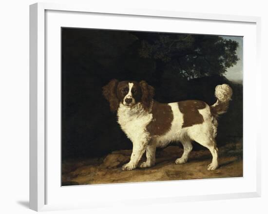 Fanny, the Favourite Spaniel of Mrs. Musters, Standing in a Wooded Landscape, 1777-George Stubbs-Framed Giclee Print