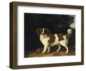 Fanny, the Favourite Spaniel of Mrs. Musters, Standing in a Wooded Landscape, 1777-George Stubbs-Framed Giclee Print