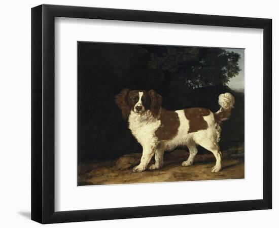 Fanny, the Favourite Spaniel of Mrs. Musters, Standing in a Wooded Landscape, 1777-George Stubbs-Framed Giclee Print