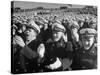 Fans Cheering at the Army-Navy Football Game-Ralph Morse-Stretched Canvas