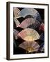 Fans for Sale at a Market Stall, Kyoto Prefecture, Japan-null-Framed Photographic Print